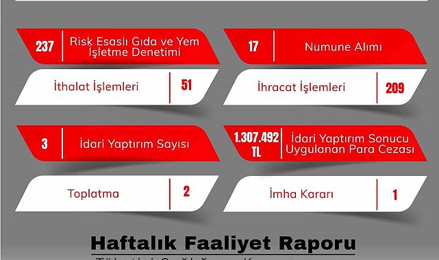 Eskişehir'de 237 gıda işletmesi denetlendi
