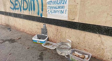 Eskişehir'de 'Hayvanların mamalarını çalmayın!' uyarısı