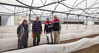 Eskişehir'de domates seralarında zararlı takibi başladı