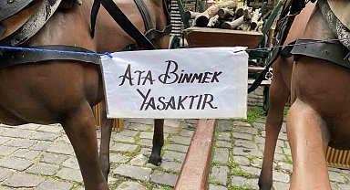 Eskişehir'deki "Ata binmek yasaktır" uyarısı dikkat çekiyor