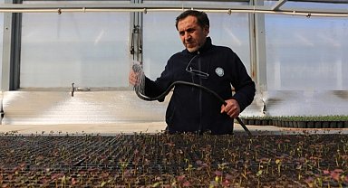 Eskişehir'in yeşil yüzü şehri süslüyor