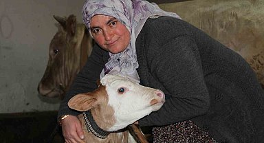 Fedakar anne: Çocuklarına bakar gibi hayvanlarını besleyip ailesine destek oluyor