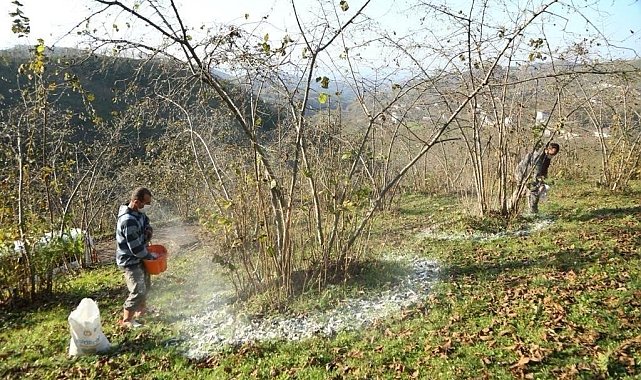FINVER projesi il sınırlarını aştı