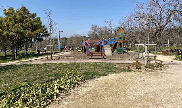Florya Atatürk Ormanı'nda başı boş köpekler vatandaşları tedirgin ediyor