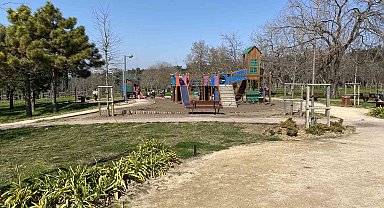 Florya Atatürk Ormanı'nda başı boş köpekler vatandaşları tedirgin ediyor