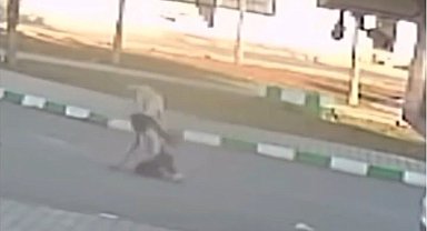 Gaziantep'te 3 öğrenciye sokak köpekleri saldırdı