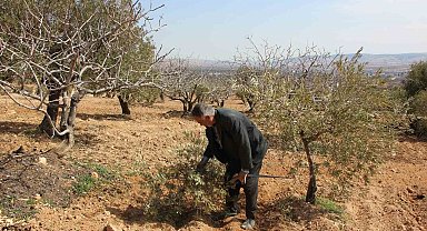 Gaziantep'te çiftçilerin umudu bahar yağmurlarında