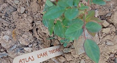 Gazipaşa'da, Bolu'daki otel yangınında ölen 36 çocuk anısına gül dikildi