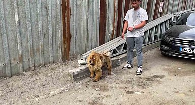 Gebze'de hurdalık alanda yangın: Gökyüzü siyaha büründü