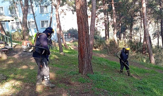 Gemlik'te Yeşil Seferberlik