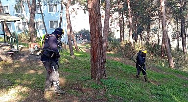 Gemlik'te Yeşil Seferberlik