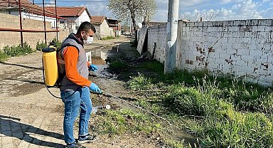 Germencik'te ilaçlama çalışmaları sürüyor