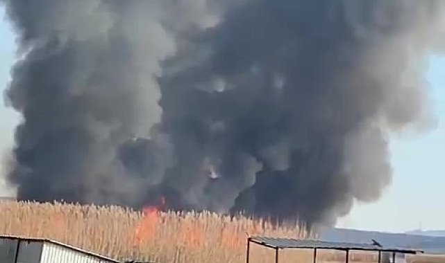 Gökgöl'deki sazlıklar ateşe verildi