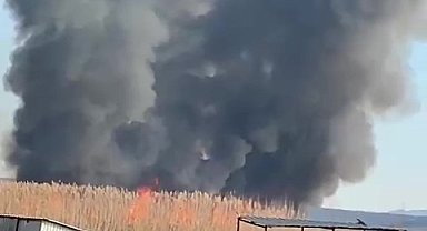 Gökgöl'deki sazlıklar ateşe verildi