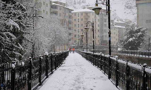 Gümüşhane'de mevsim bir gecede bahardan kışa döndü