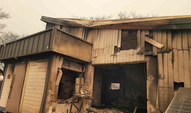 Güney Kore'deki orman yangınlarında 7'nci gün: Ölü sayısı 26'ya, yaralı sayısı 30'a yükseldi