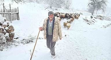 Hayvanlarını otlatmak için meraya çıkan çobanlara kar sürprizi