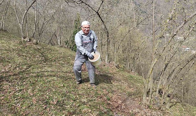 Hendek'te fındık üreticileri mesailerine başladı
