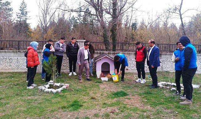 Hisarcık'ta sokak hayvanları için mama bırakıldı