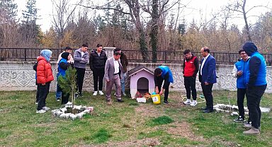 Hisarcık'ta sokak hayvanları için mama bırakıldı