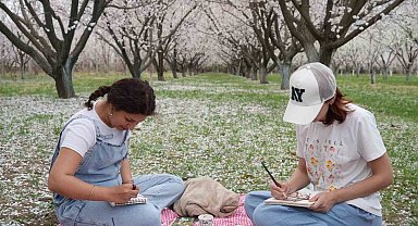 Iğdır'da çiçek açan kayısı ağaçlarında kartpostallık görüntüler