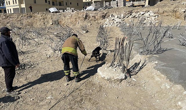 İnşaat alanındaki 15 metrelik çukura düşen köpek kurtarıldı