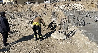 İnşaat alanındaki 15 metrelik çukura düşen köpek kurtarıldı