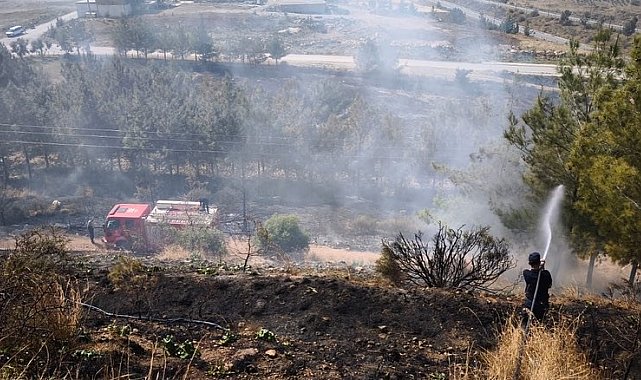 İskenderun'da ağaçlık alan yangını