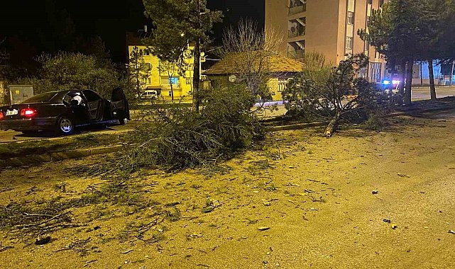 Isparta'da otomobil refüje çarparak 3 ağacı devirdi: 1 yaralı