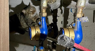 İtfaiyeden kedi kurtarma operasyonu