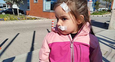 İzmir'de AVM'deki sahipsiz köpek 3 yaşındaki Elif'e saldırdı