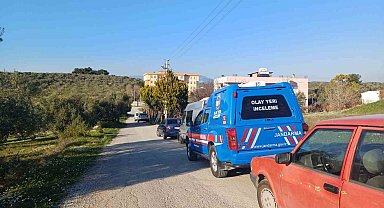 İzmir'de bir eve operasyon: 102 kök kenevir ele geçirildi