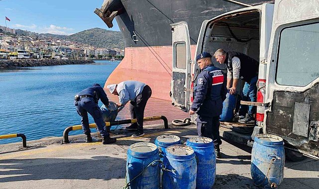 İzmir'de yasadışı yollarla avlanan deniz patlıcanları denize salındı