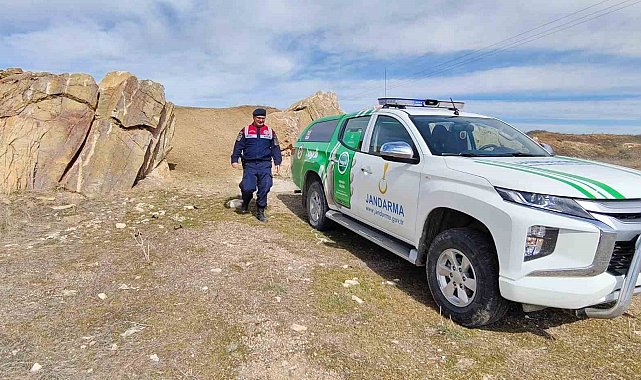 Jandarma yaban hayatı kontrolü yaptı