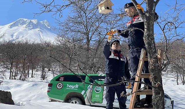 Jandarma yaban kuşlarına yuva yapıp yemle birlikte ağaçlara astı