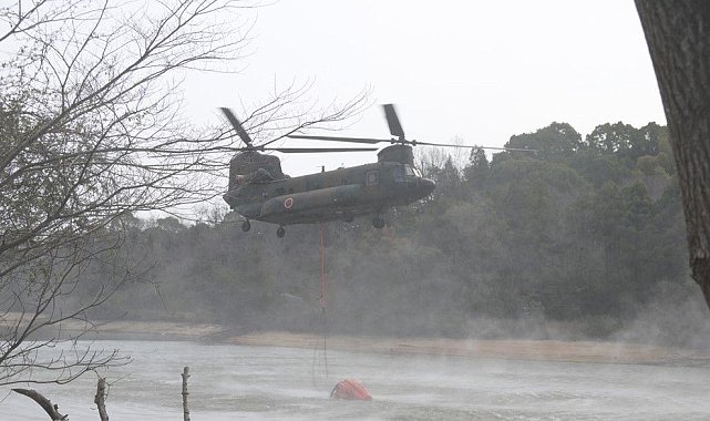 Japonya'da 4 gündür süren orman yangınları 1 eyalete daha sıçradı