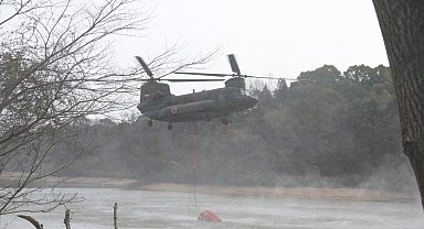 Japonya'da 4 gündür süren orman yangınları 1 eyalete daha sıçradı