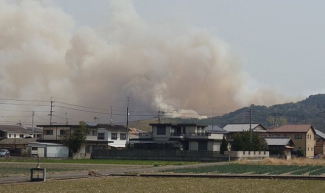 Japonya'daki orman yangınları devam ediyor: 514 hektar alan yandı, 16 bin ev elektriksiz kaldı