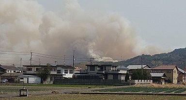 Japonya'daki orman yangınları devam ediyor: 514 hektar alan yandı, 16 bin ev elektriksiz kaldı