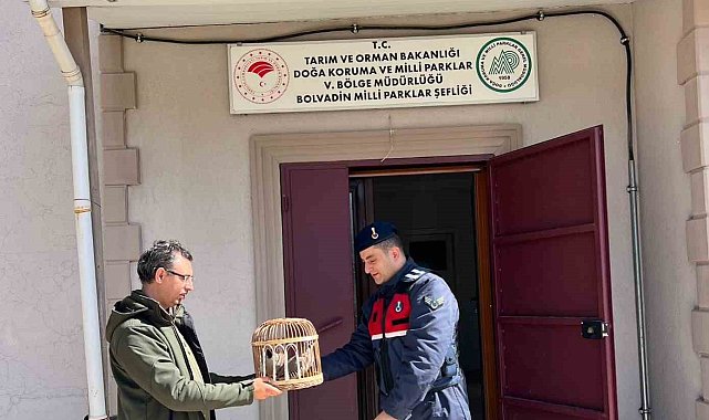 Kaçak avlanmaya geçit yok