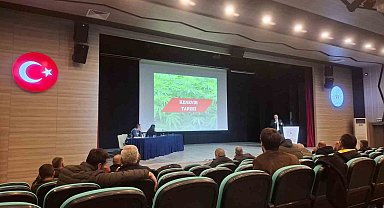 Kaçak kenevir ekimiyle mücadele