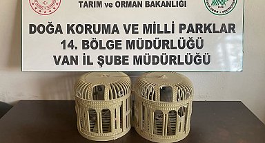 Kafesle kaçak avcılık yapan şahsa 43 bin lira idari para cezası kesilecek