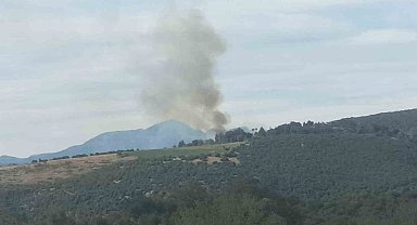 Kahramanmaraş'ta ormanlık alanda çıkan yangın söndürüldü
