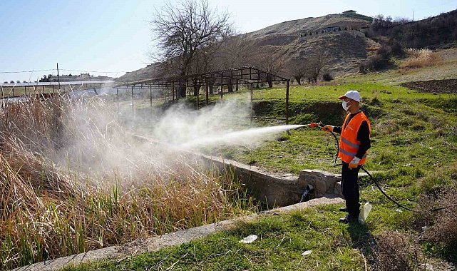 Kahta Belediyesi, ilaçlama çalışmalarına devam ediyor