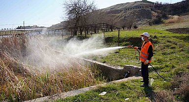 Kahta Belediyesi, ilaçlama çalışmalarına devam ediyor