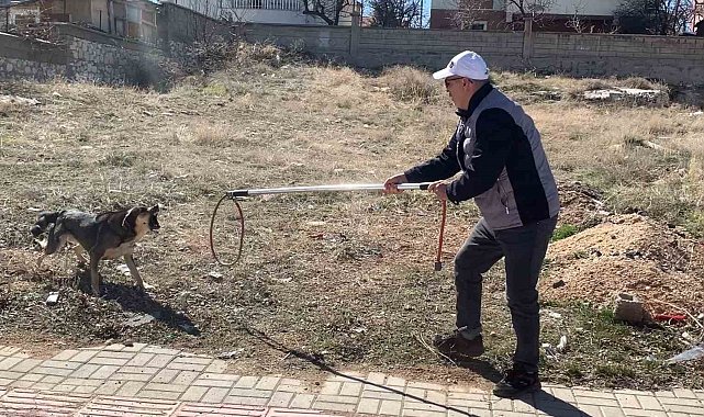 Karaman'da köpeğin saldırısından oğlunu kurtarmak isteyen baba yaralandı
