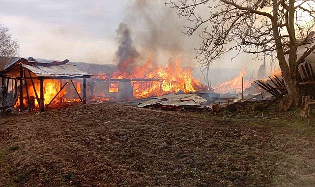 Kastamonu'da çok sayıda ev ve ahır alevlere teslim oldu