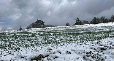 Kastamonu'da Mart ayına kadar devam eden kar yağışları siyez üreticilerinin yüzünü güldürdü