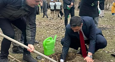 Kastamonu'da şehit ve gaziler için fidan dikildi