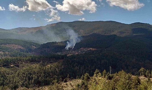 Kavaklıdere'de arazi yangını